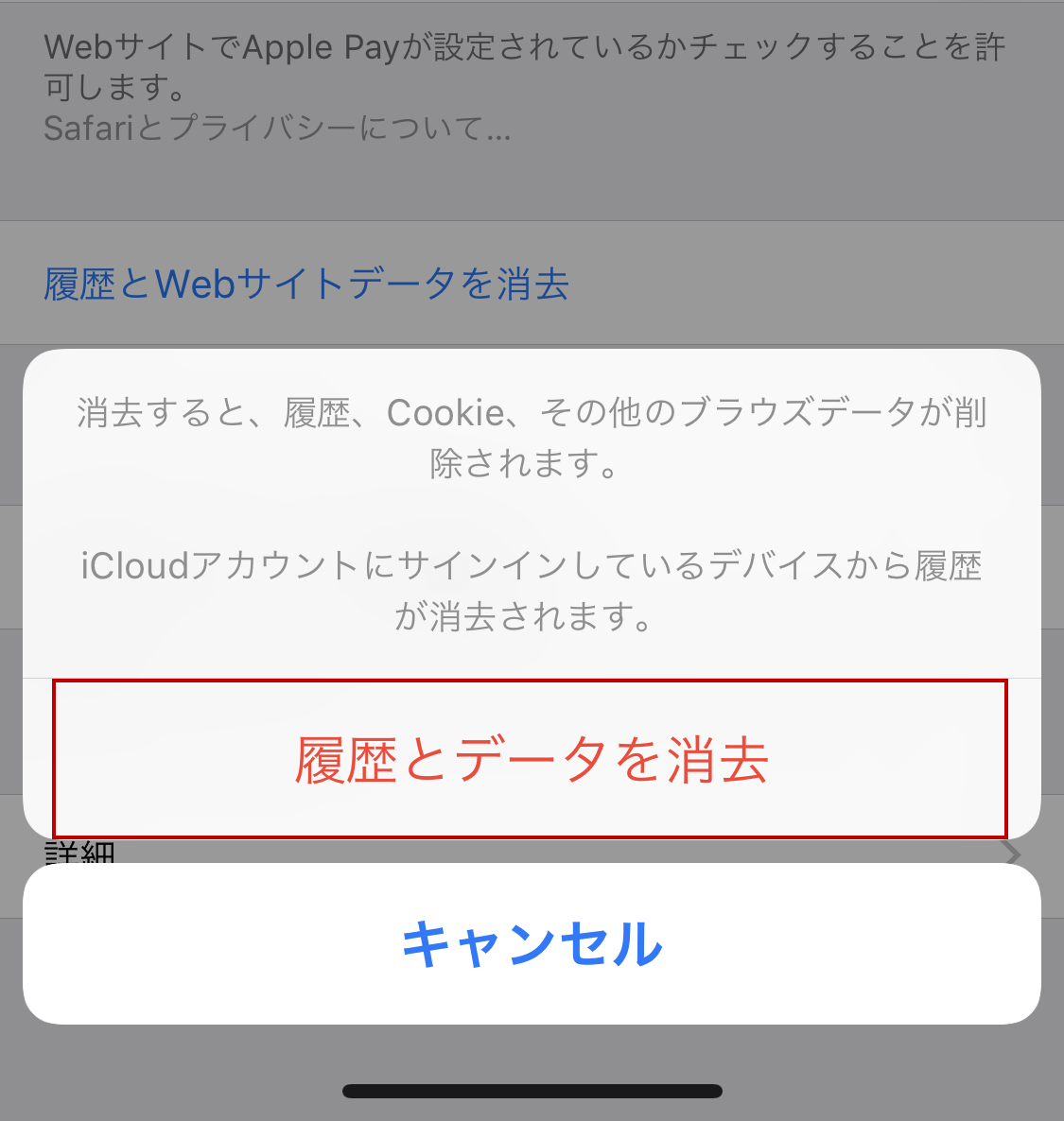 履歴とデータ消去決定画面の画像